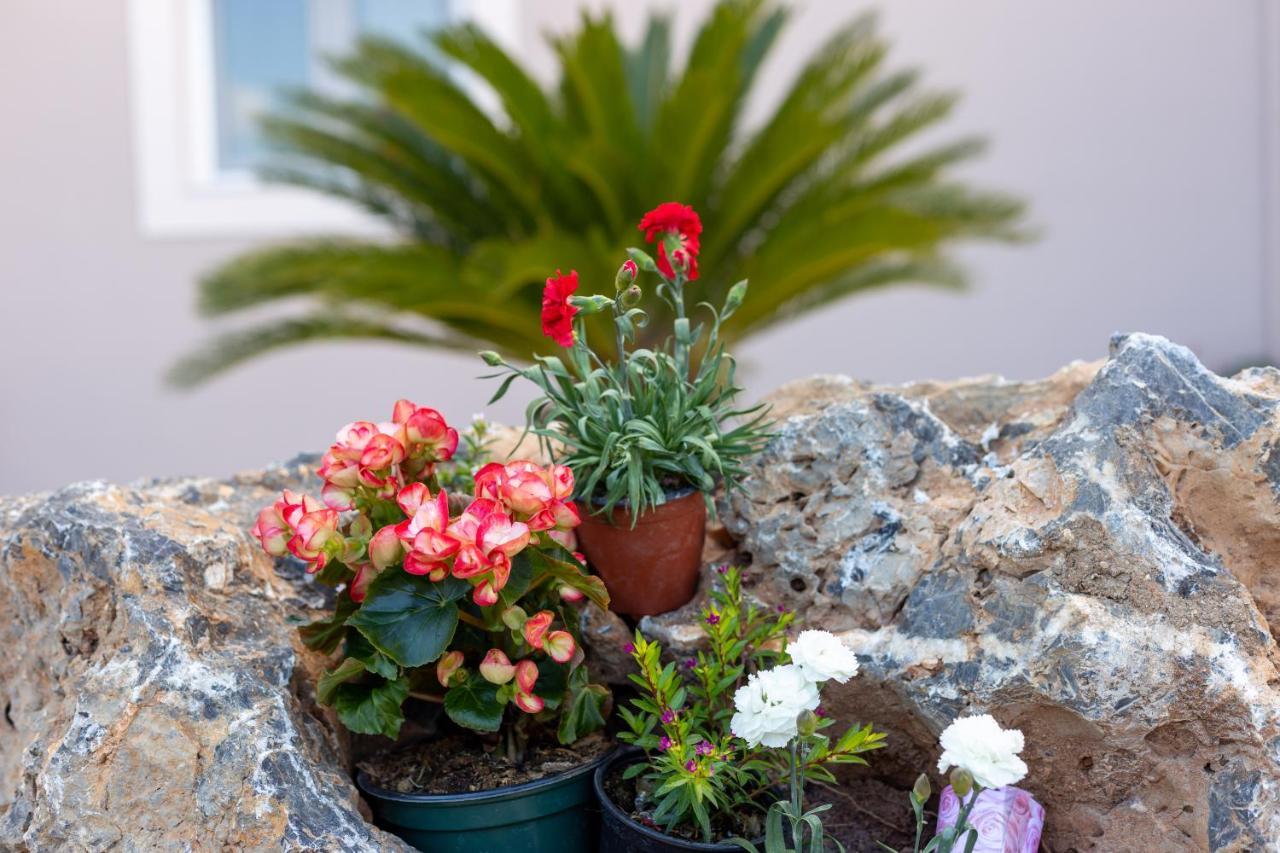 Gazátika Nightingale Villa & Suites Corfu מראה חיצוני תמונה